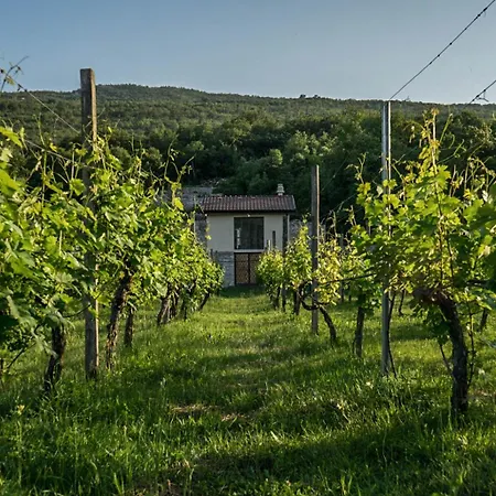 Кемпінг Auto Camp Matica *