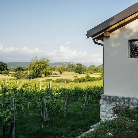 Auto Camp Matica Кемпінг