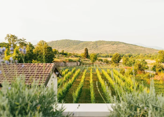 Auto Camp Matica Podgorica