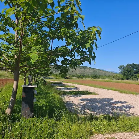 Auto Camp Matica *