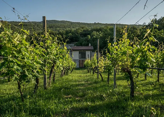 Camping Auto Camp Matica *